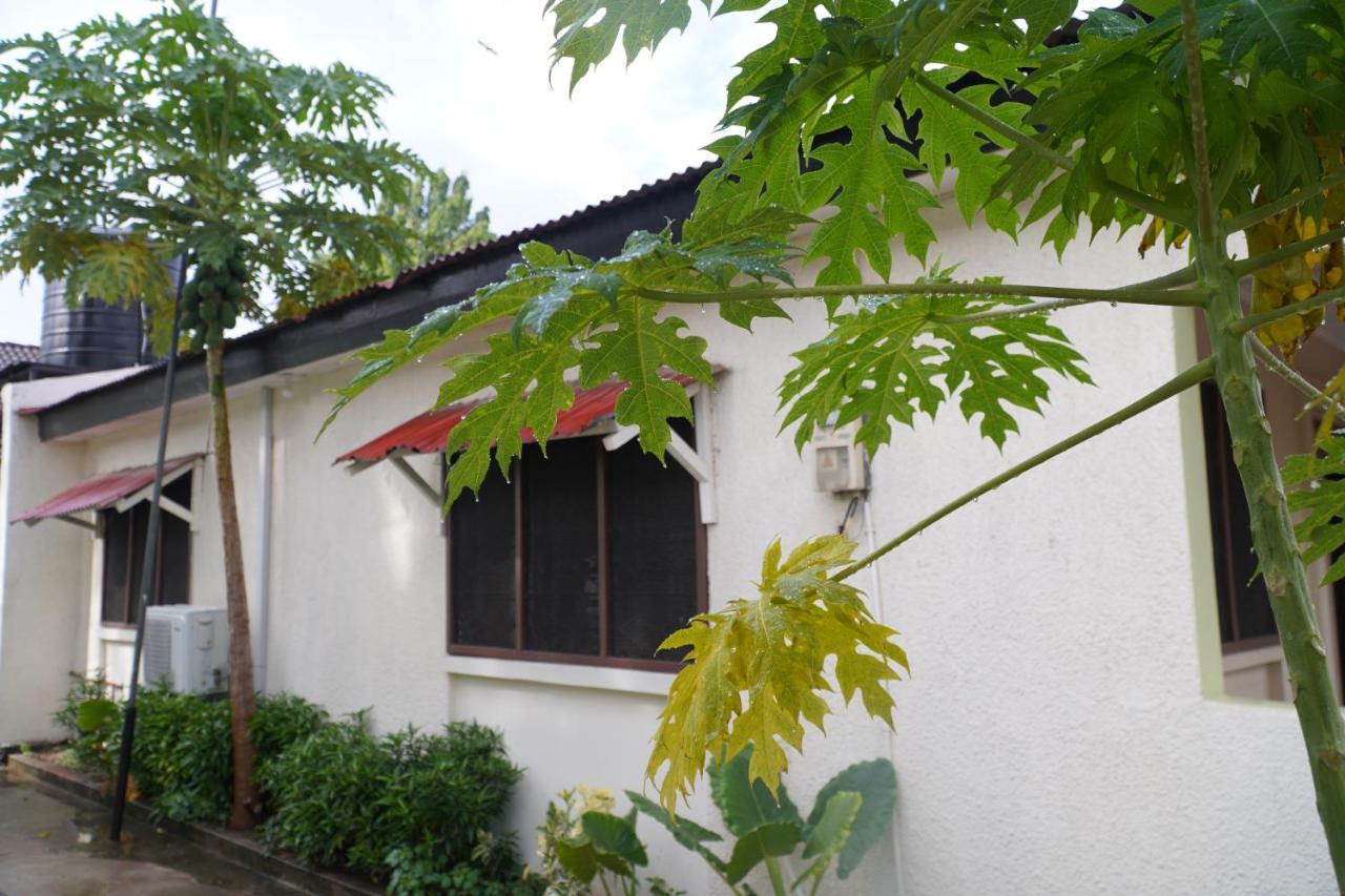 Bed and Breakfast L&J Modern Backpackers Kinondoni Dar es Salaam Exteriér fotografie