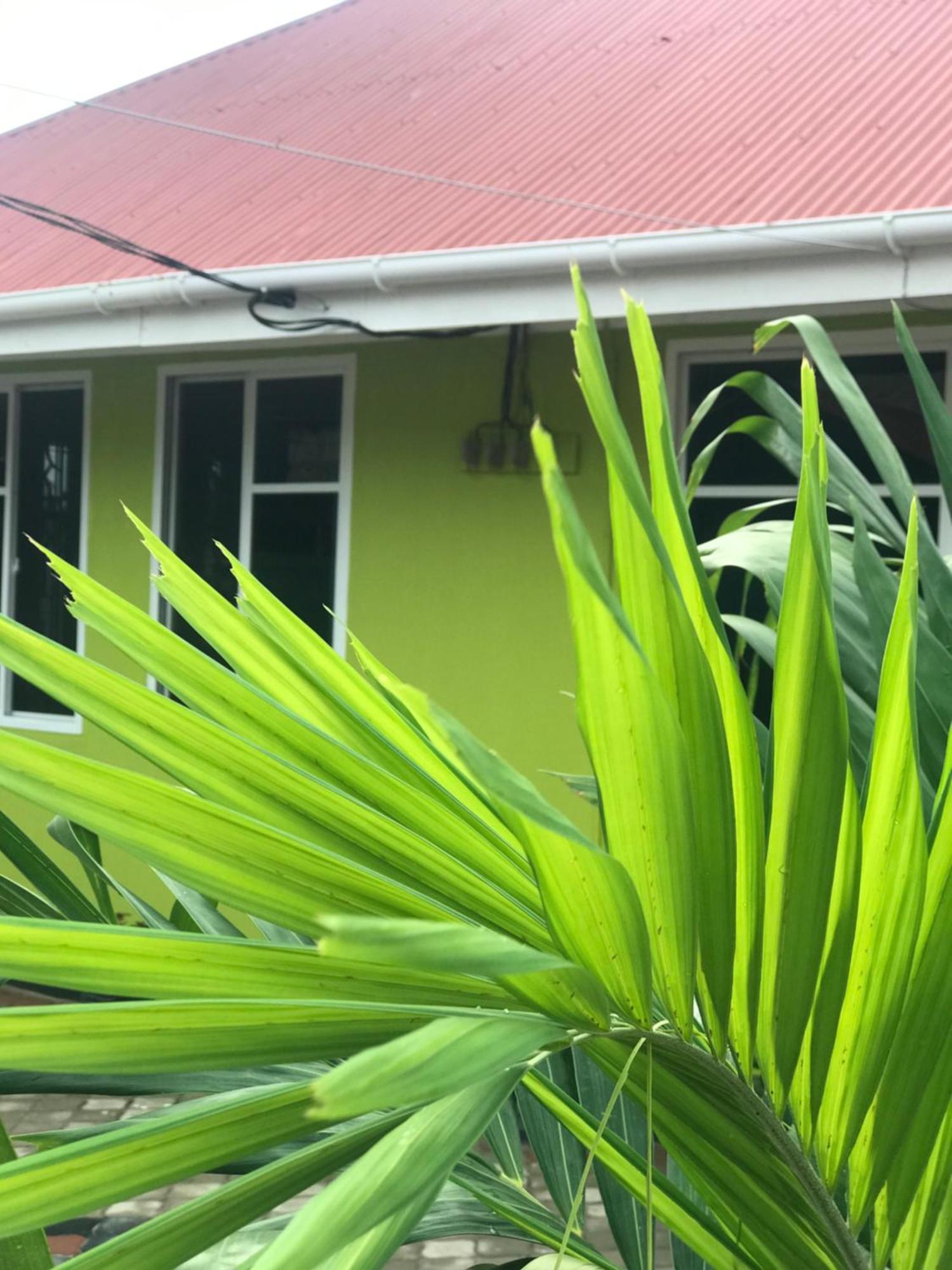 Bed and Breakfast L&J Modern Backpackers Kinondoni Dar es Salaam Exteriér fotografie
