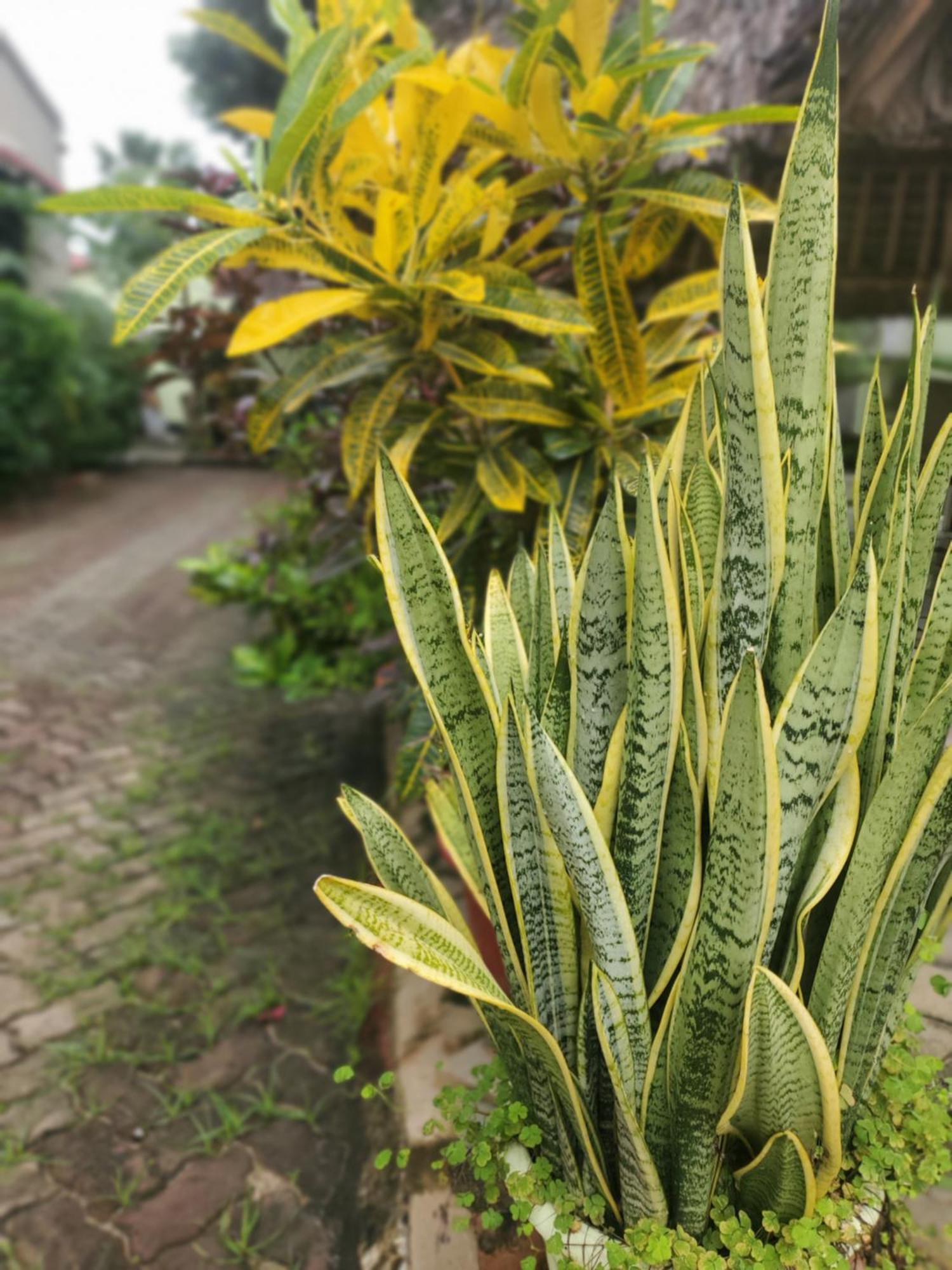 Bed and Breakfast L&J Modern Backpackers Kinondoni Dar es Salaam Exteriér fotografie