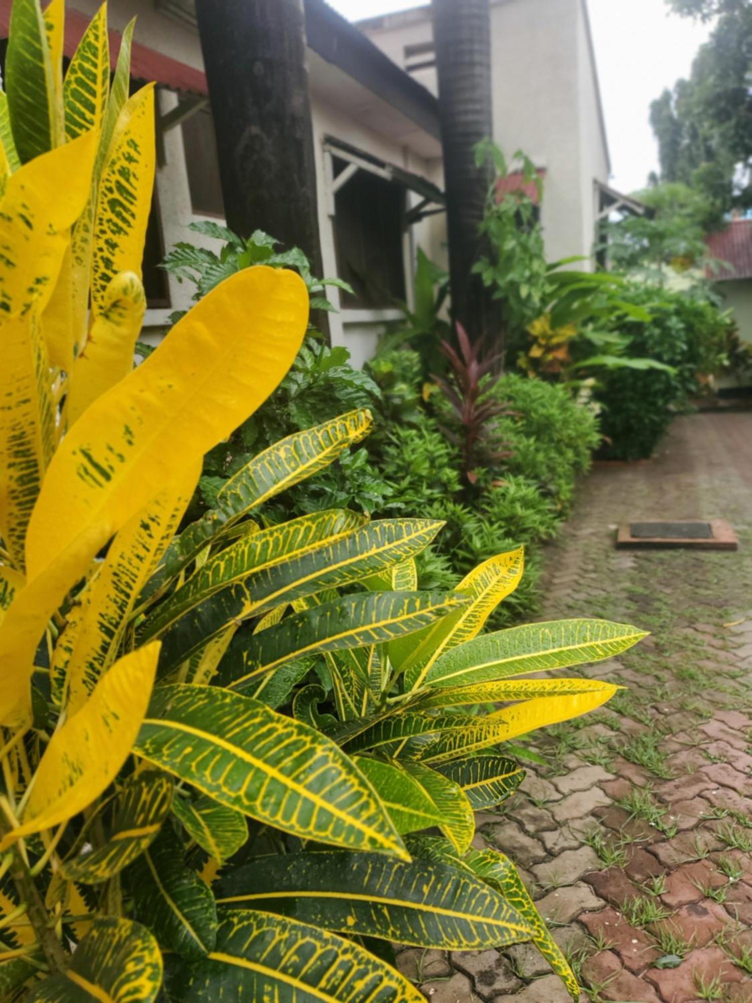 Bed and Breakfast L&J Modern Backpackers Kinondoni Dar es Salaam Exteriér fotografie